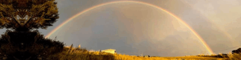 Tapora Rainbow